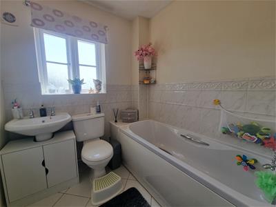 Picture 15